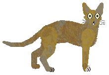 Portia