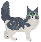Lyra