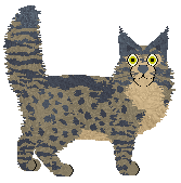 Otto