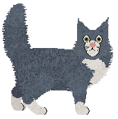 Pollux