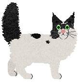 Raccoon